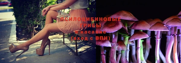 бутират Алзамай