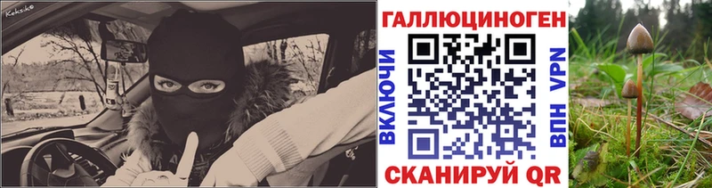 Псилоцибиновые грибы Magic Shrooms  это телеграм  Боготол  как найти закладки 